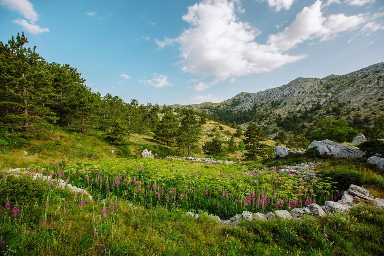 Apartman Magdalena Lägenhet Makarska Exteriör bild